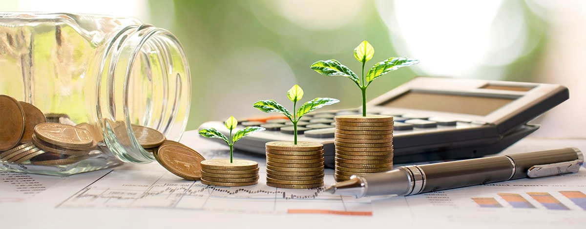 Tax-Ready Business Records Save Money. Blog Post by The Expert Accountant.