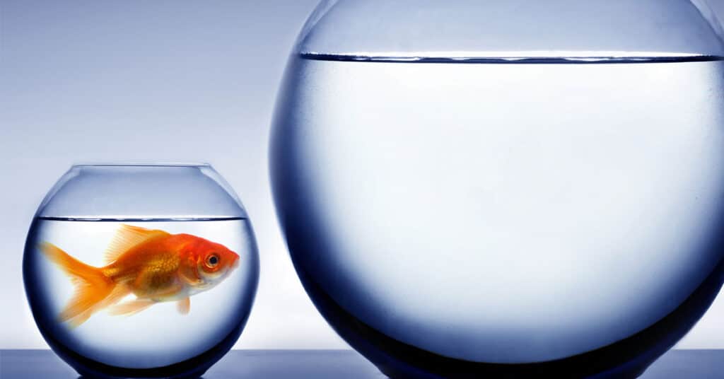 When Do I Need a CFO?